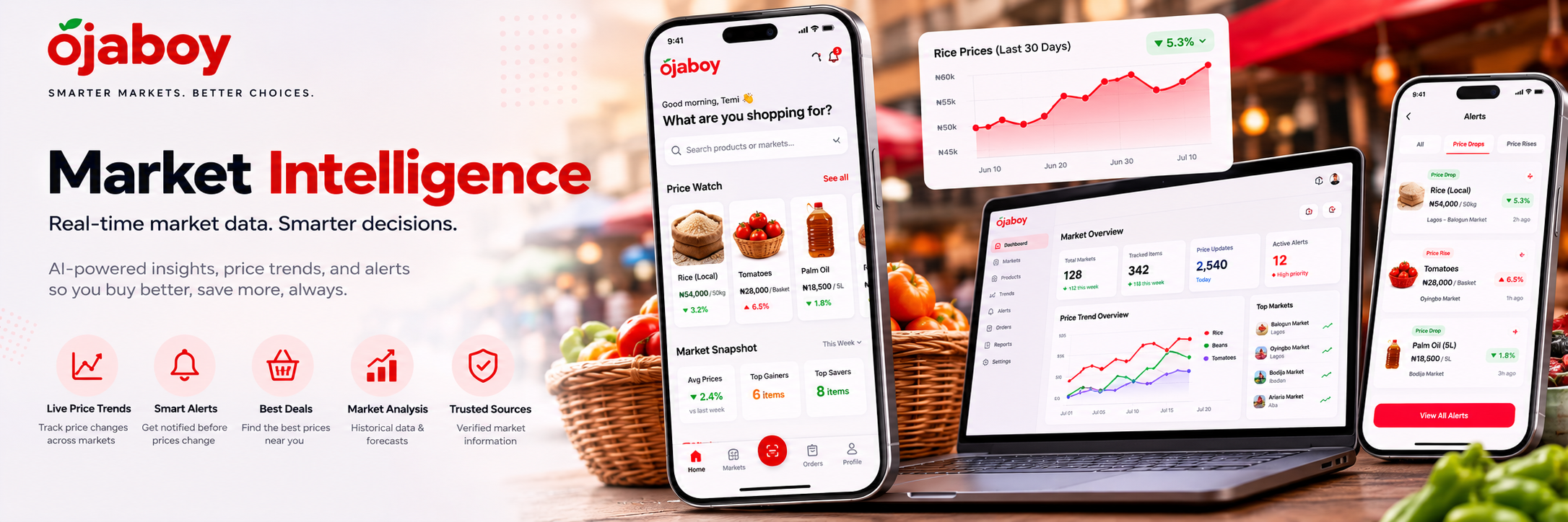 Ojaboy market intelligence platform across mobile and desktop